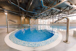 Medi SPA Repino (Primorskoye Highway, 394литБ), spa