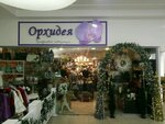 Orkideya (Matbuotchilar Street, 17), interior goods