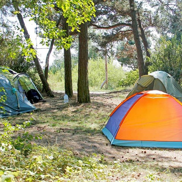 Фото Куршале