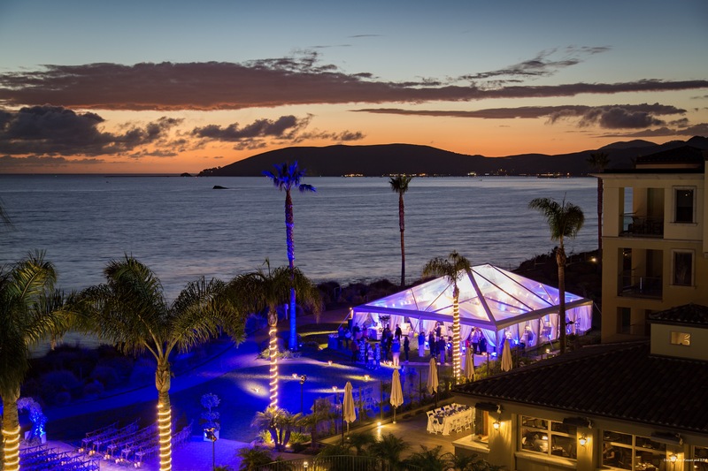 Фото Dolphin Bay Resort And SPA