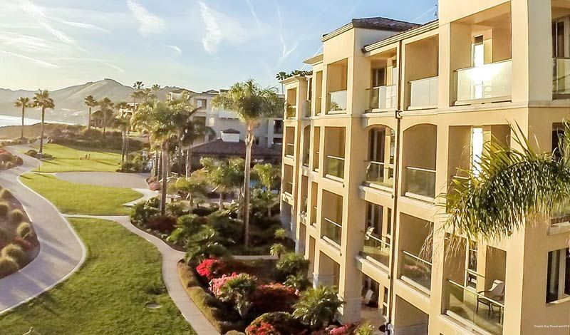 Фото Dolphin Bay Resort And SPA