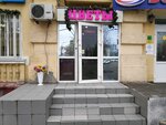 Lavanda (ул. Рокоссовского, 2), магазин цветов в Волгограде