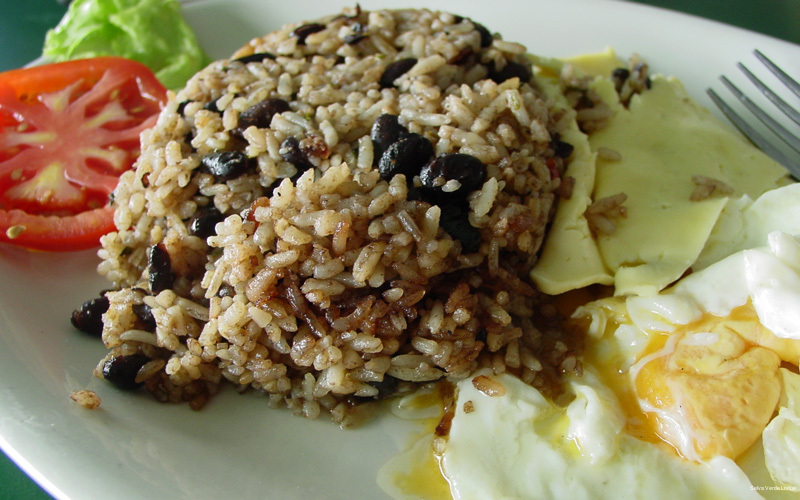 Фото Selva Verde Lodge