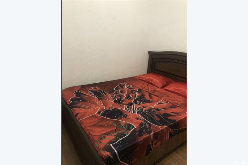 Фото Кипарис