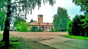 Фарфоровая мозаика (posyolok Pesochnoye, Sovetskaya ulitsa, 1), museum