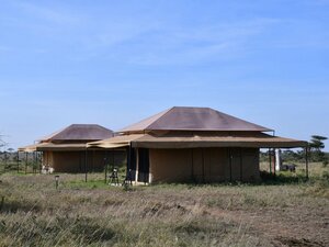 База отдыха Serengeti Wildebeest Camp