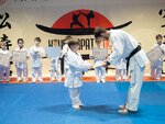 Club Karate № 1 (Bachurinskaya ulitsa, 17) ، نادي رياضي، مجموعة