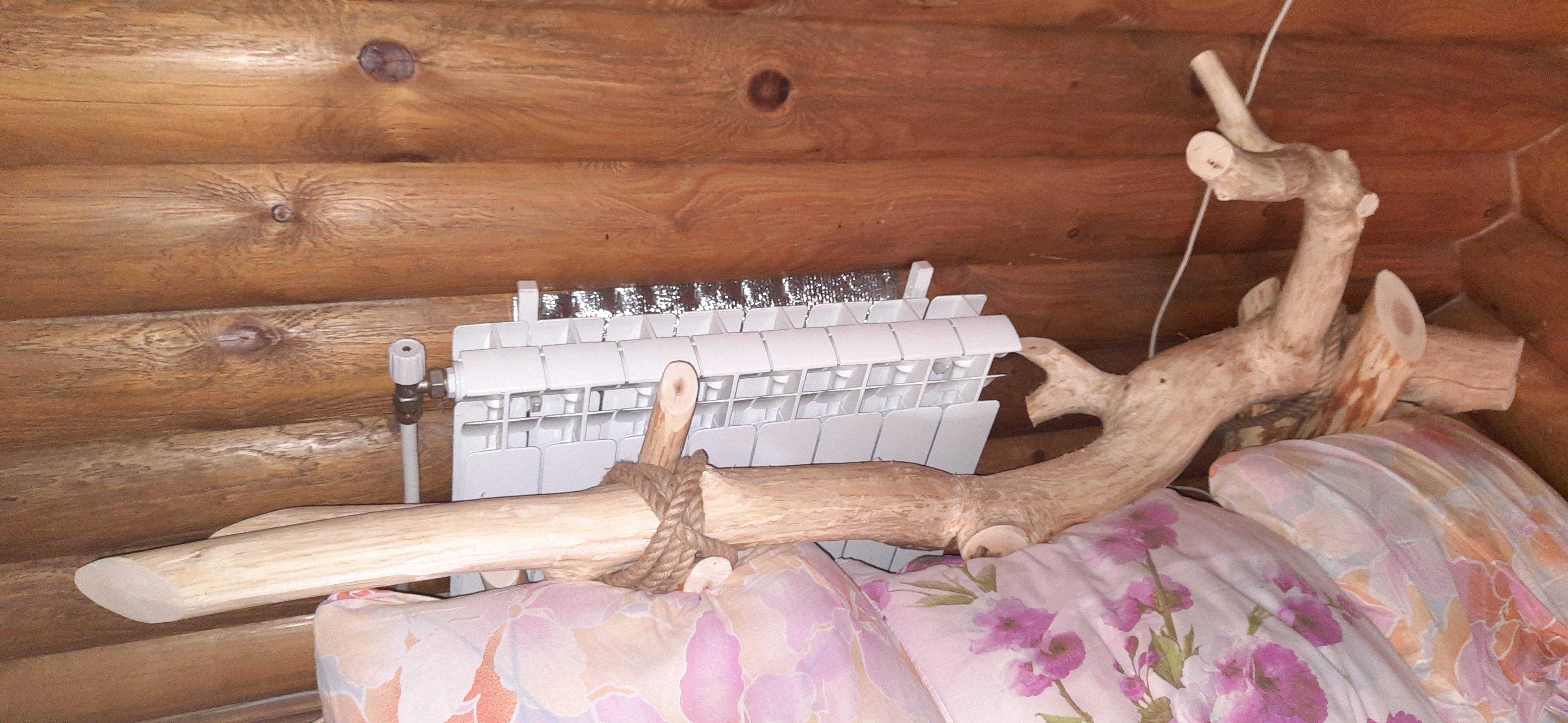 Фото Лесная сказка