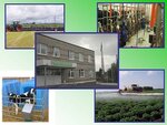 Apk Belorechensky (selo Kochnevskoye, Sadovaya ulitsa, 6), agricultural enterprise