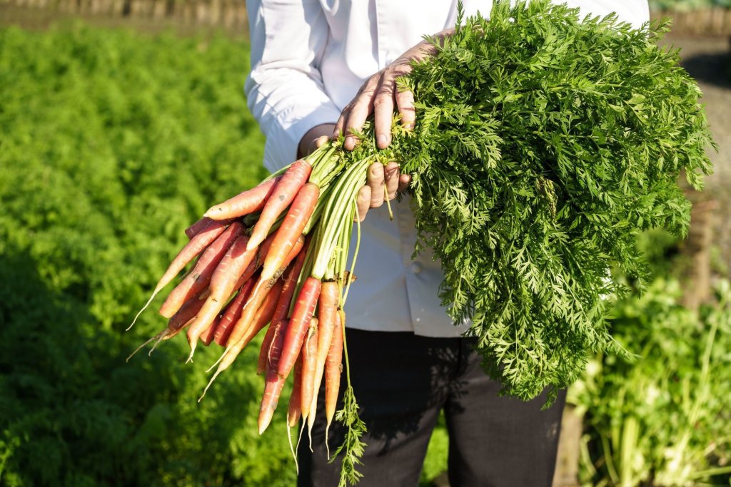 Фото Tempe Mission Palms, a Destination by Hyatt Hotel