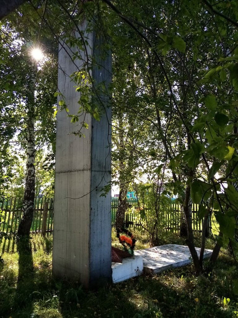 Памятник, мемориал Воинам-землякам, Омская область, фото