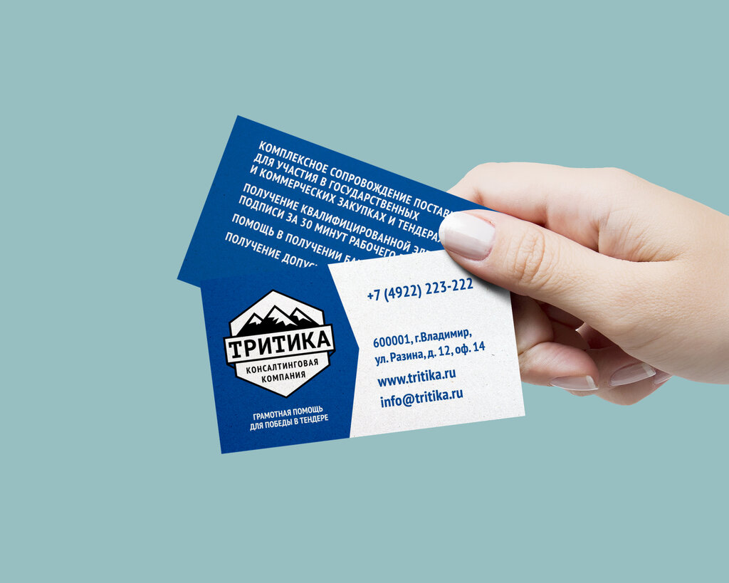 Organization of auctions and tenders Tritika, Vladimir, photo