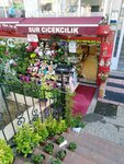 Sur Floristry and Photography (Istanbul, Fatih, Dervis Ali Neighborhood, Aktar Kerim Street, 23B) ، محل زهور