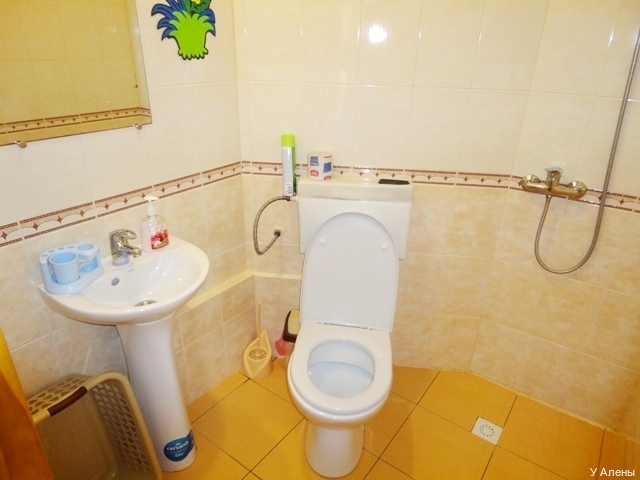 Фото У Алены