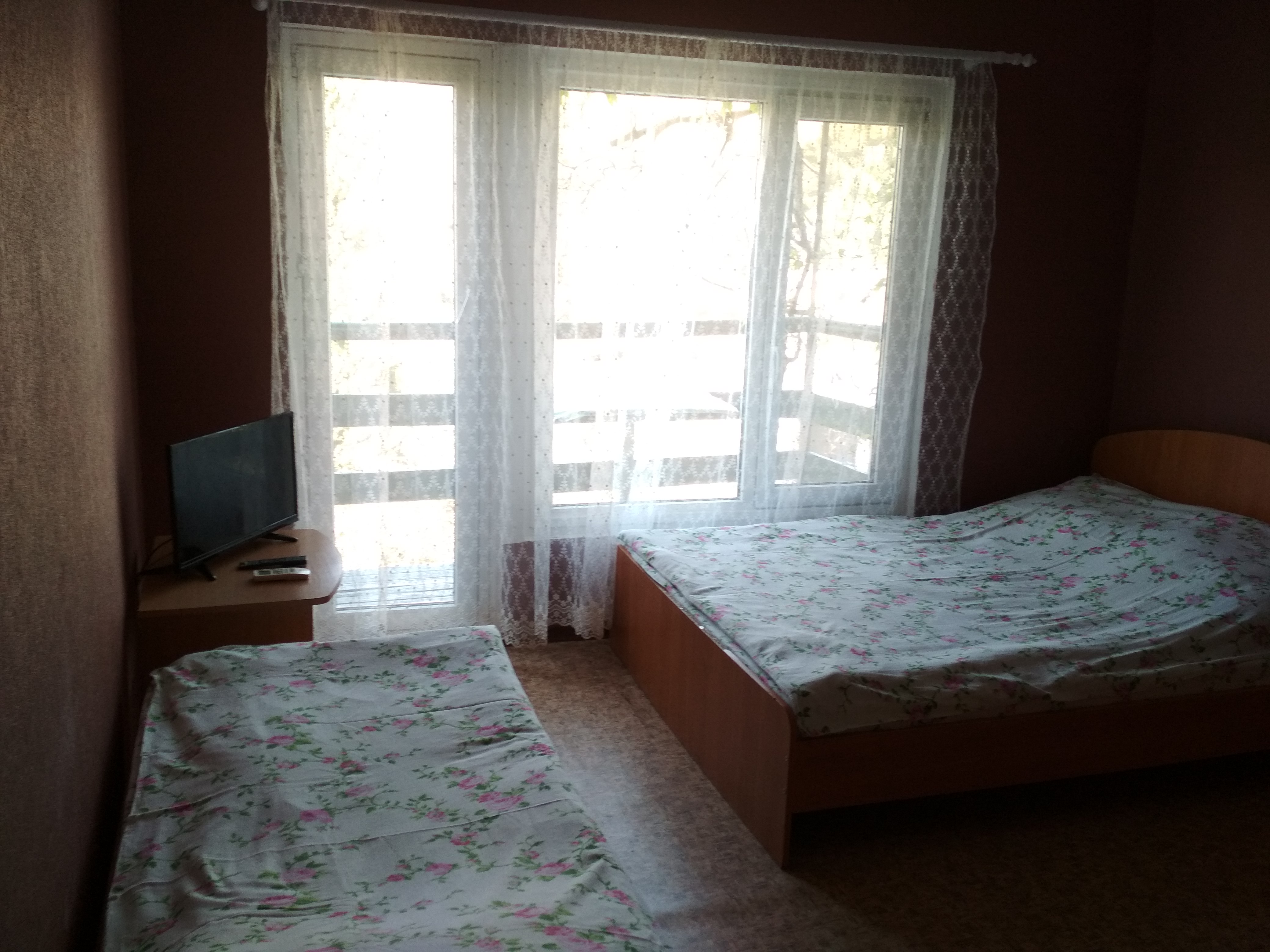 Фото Ласточка