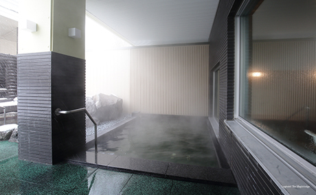 Фото Loghotel The Maplelodge