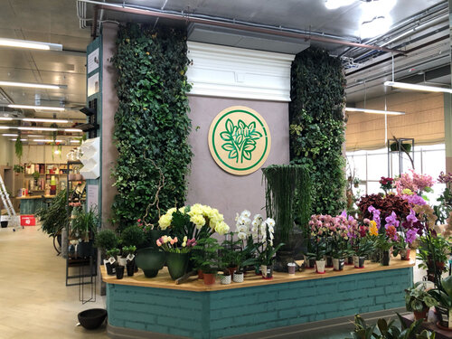Магазин цветов Зелень Студия ландшафтного дизайна, декора и флористики, Тюмень, фото