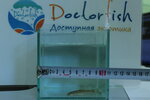 Doctor-Fish (ул. Авиастроителей, 30, корп. 2), рыбное хозяйство, рыбоводство в Новосибирске