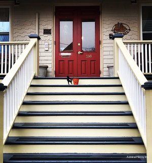 Фото Admiral Fitzroy Inn