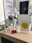 Printing house, photo-copy center T9 (Bolshoy Petrogradskoy Storony Avenue, 65) ، طباعة