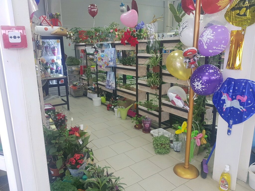 Амалия Цветы Ижевск Интернет Магазин