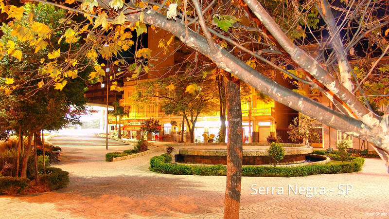 Фото Shelton Hotel