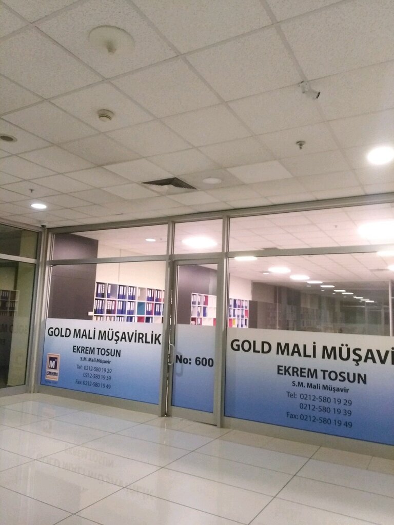 Accountants Gold Financial Advisory, Istanbul, photo