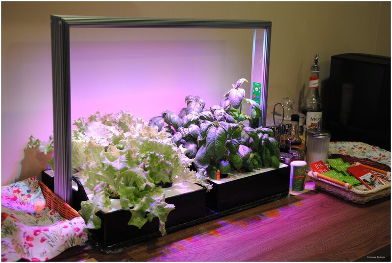 Фото Гостиница Дятьково