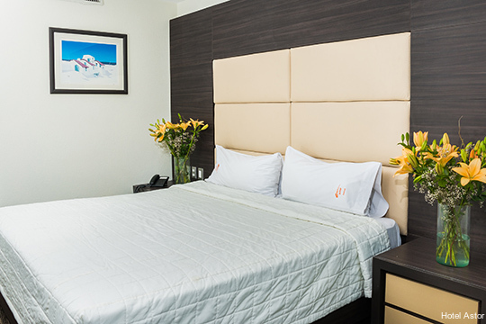 Фото Hotel Astor