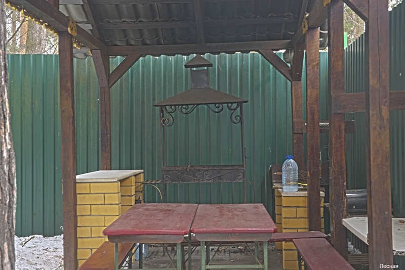 Фото Лесная