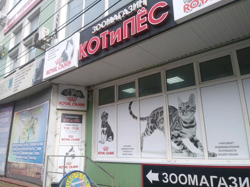 Pet shop Kot i Pes, Kursk, photo
