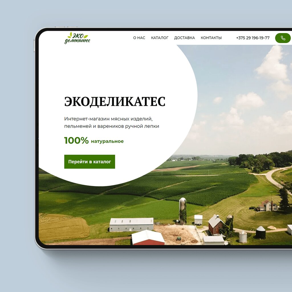 Web design studio Atrashkov Group, Minsk, photo