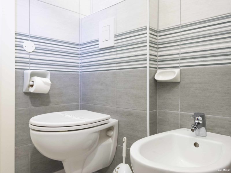 Фото Hotel Milena