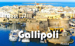 Фото Hotel Rodia