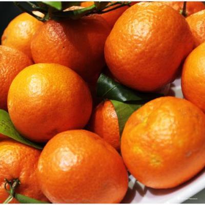 Фото Hotel San Francesco