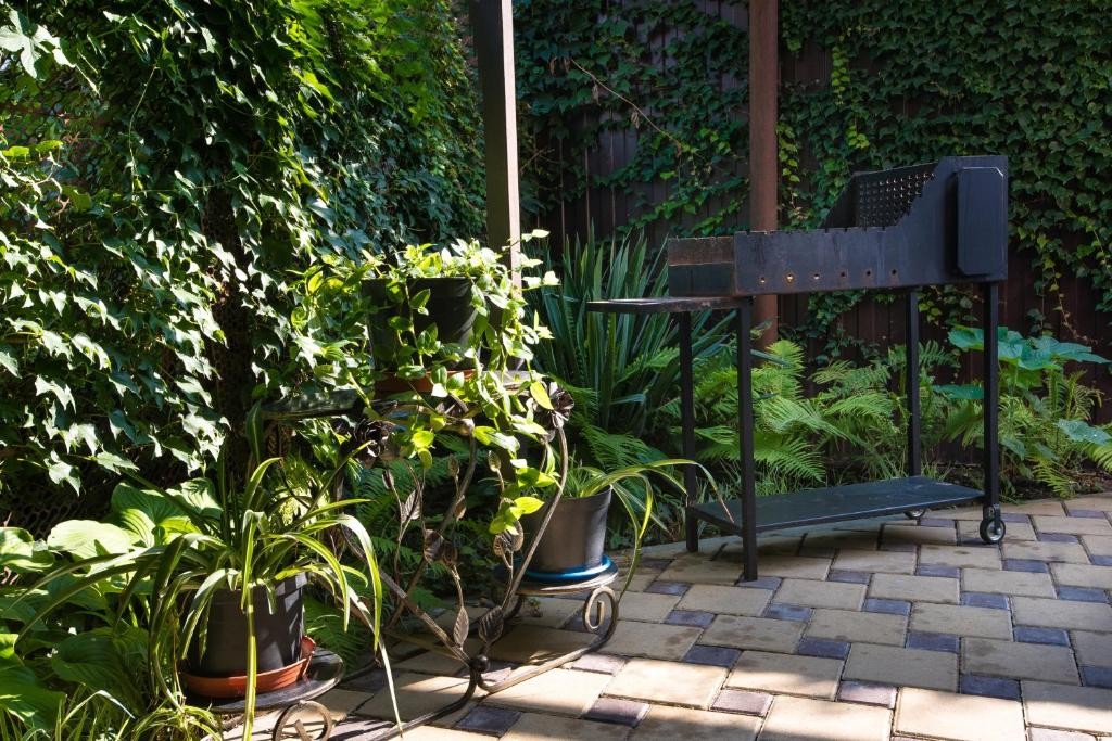 Фото Наталисити