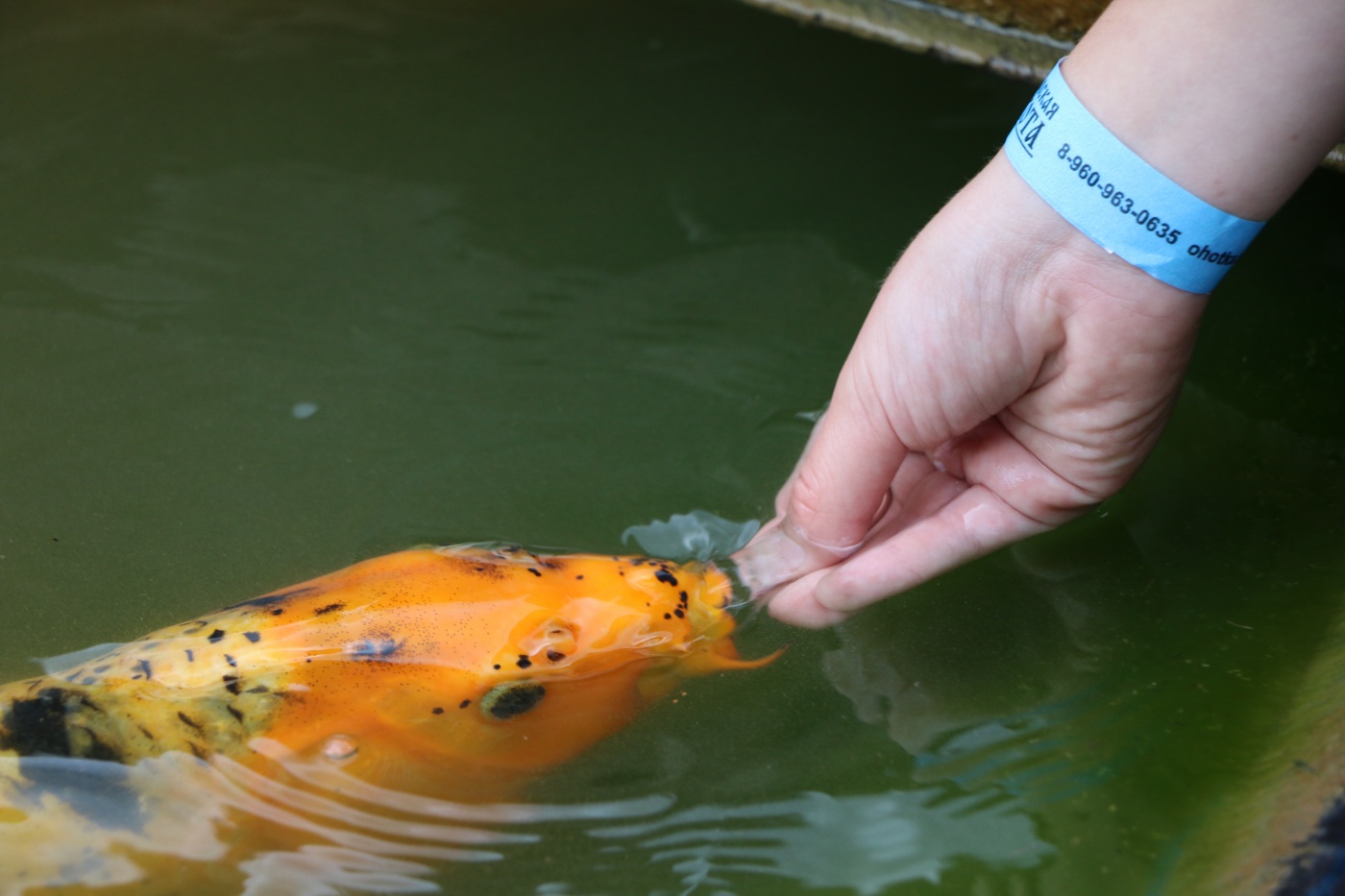 Фото Царская охота