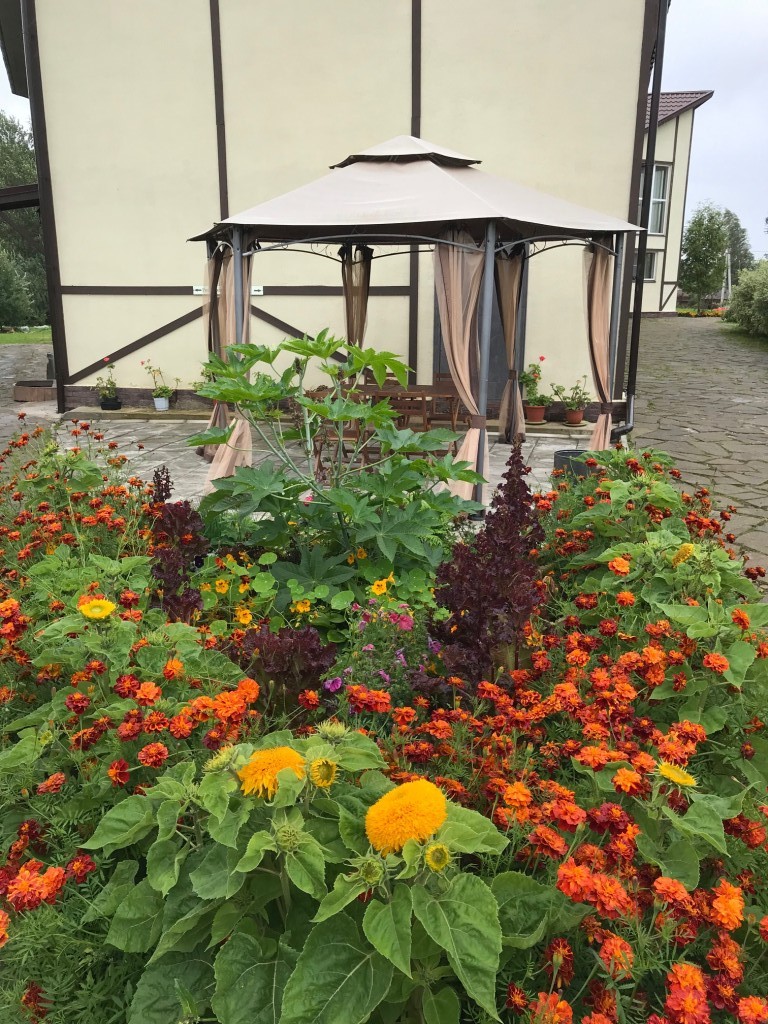 Фото Хуторок