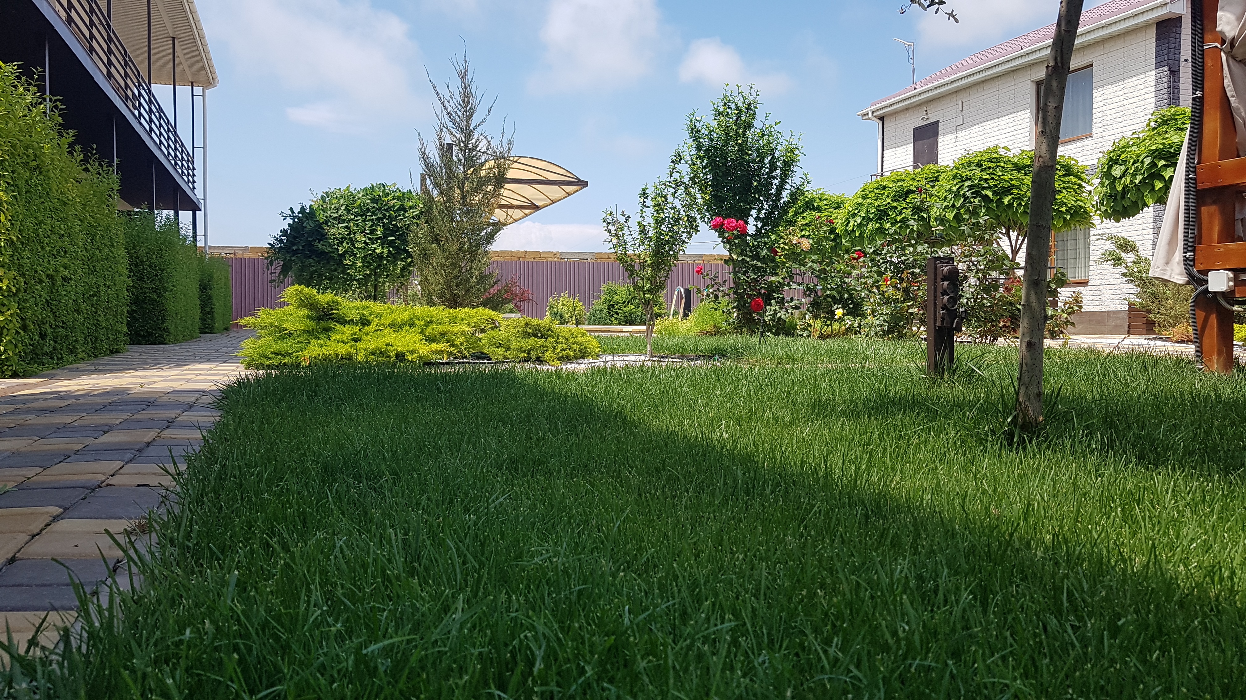 Фото Позитиff