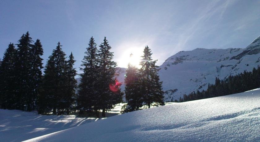 Фото Pension Gimmelwald