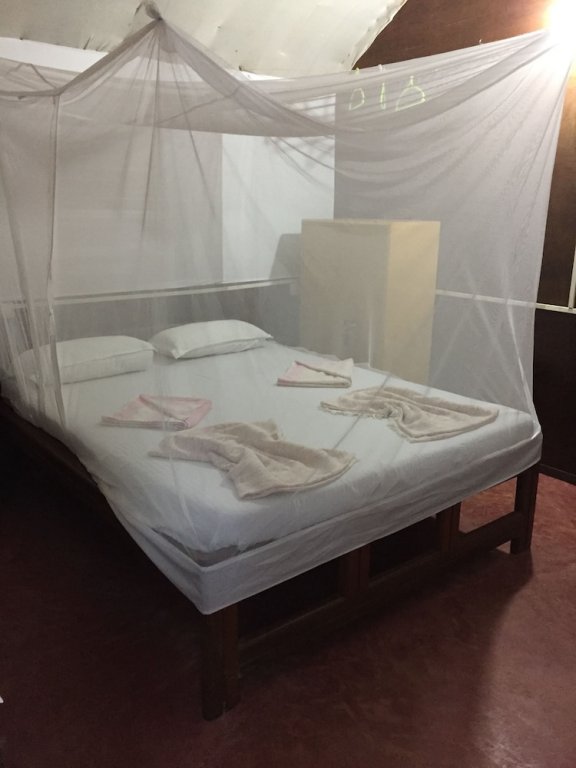 Фото Abba's Gloryland