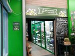 Анютины глазки (Lenina Street, 5), flower shop