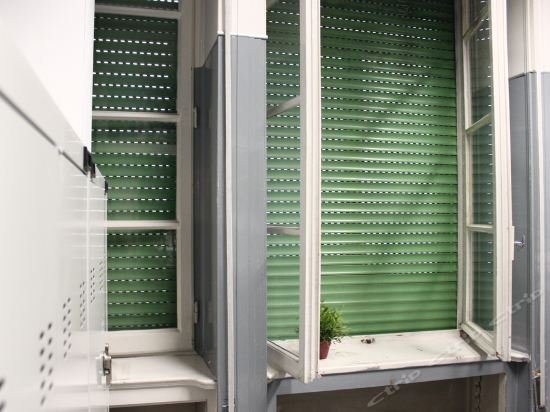 Фото Koala Hostel