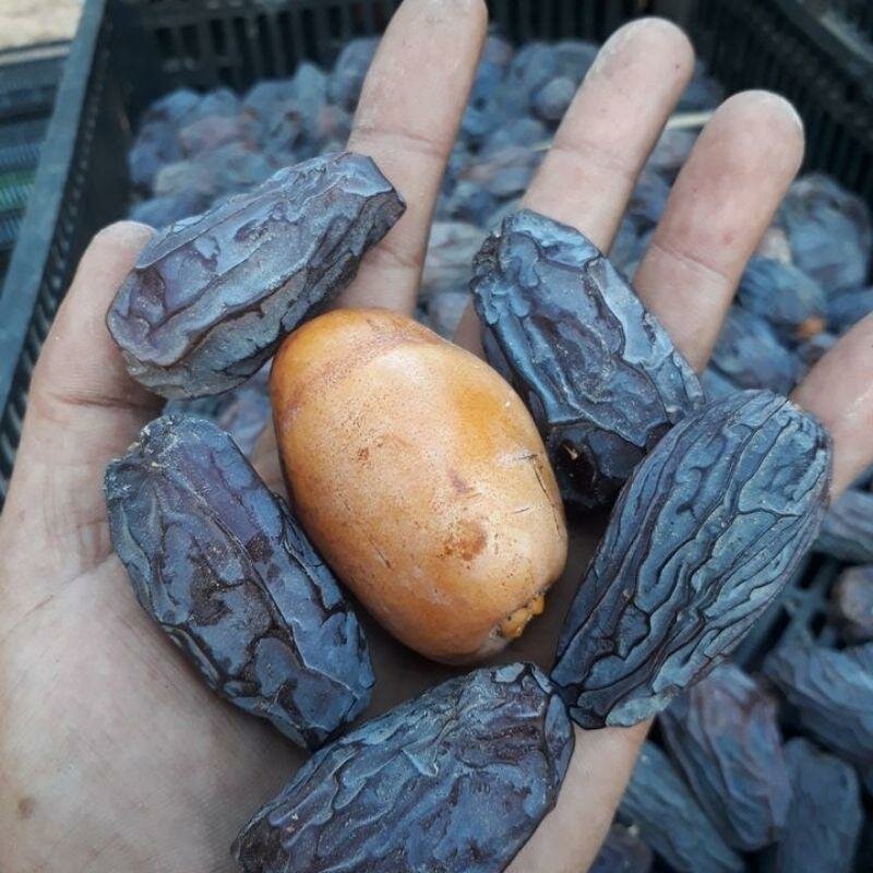 Grocery Sansovino Alimentari, Turin, photo