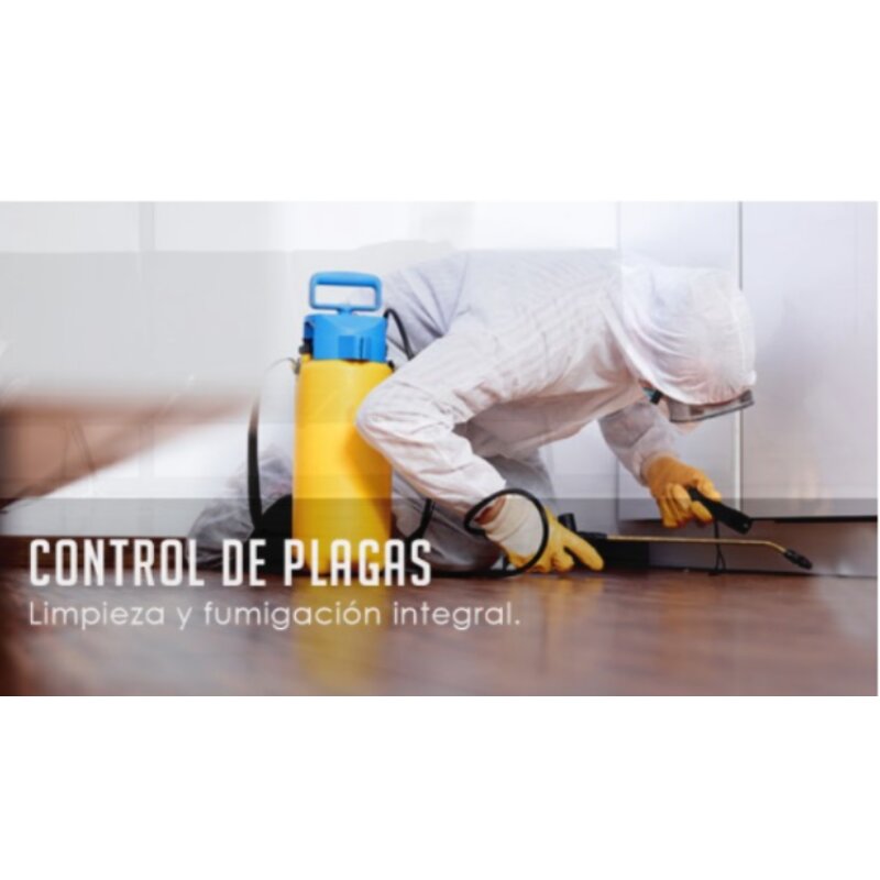 Cleaning services M&s, Lima, photo