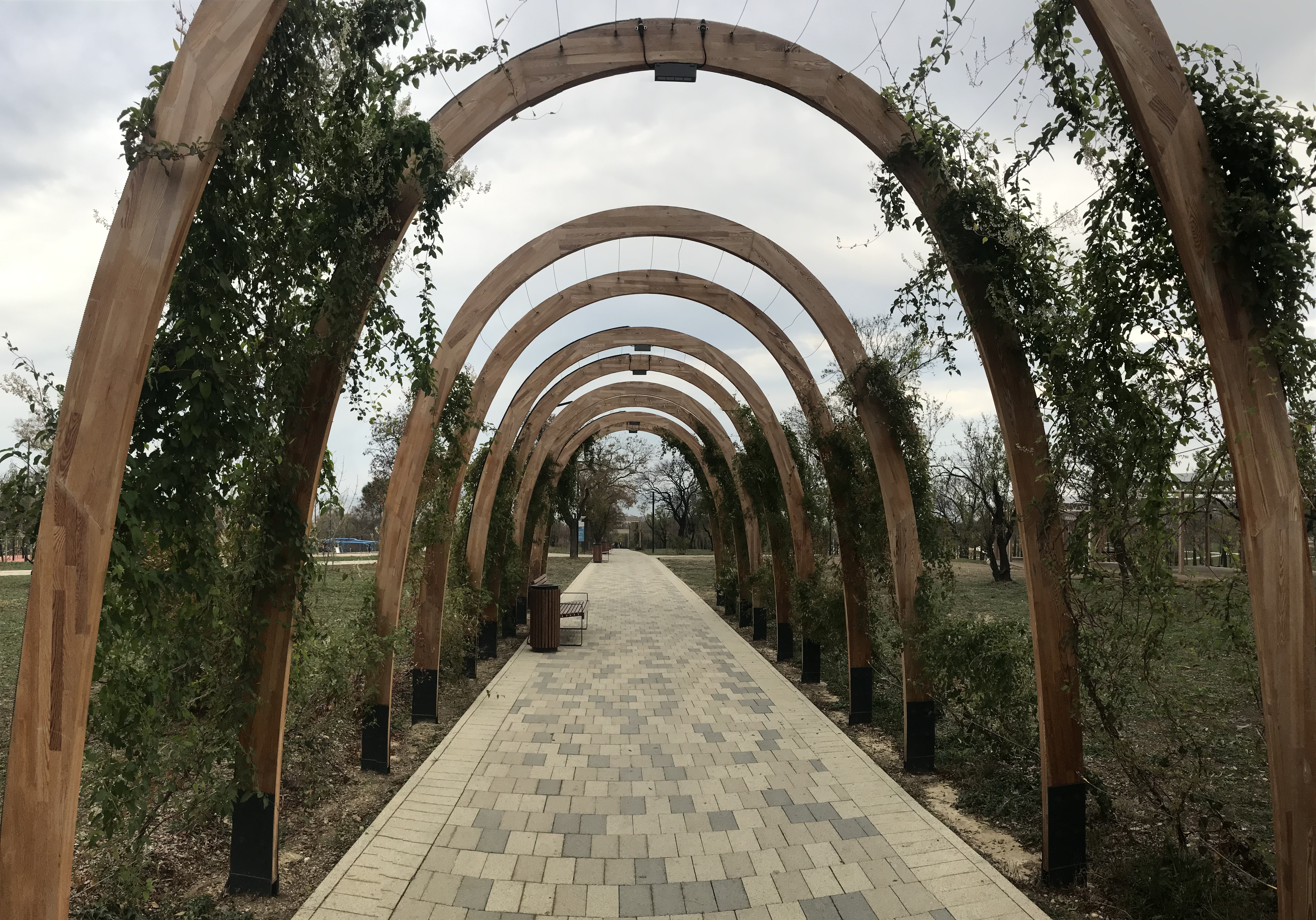 Фото Лазурный