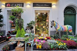 Capri Places Des Fleurs (Кампания, провинция Неаполь, Капри, Via Cerio, 14), доставка цветов и букетов в Капри