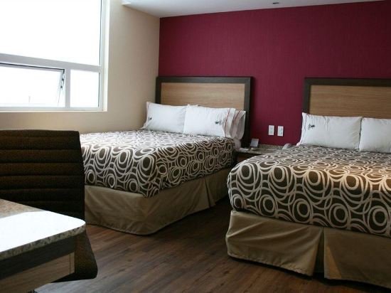 Фото Hotel MX garibaldi