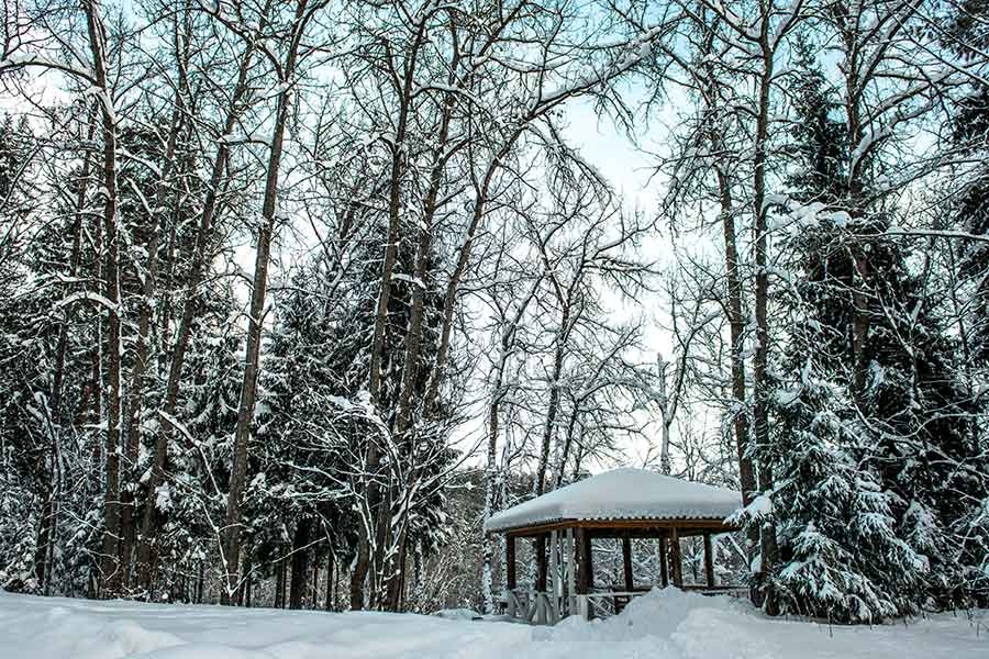 Фото Сосновый Бор