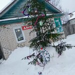 Дарья (derevnya Malyye Mazary, ulitsa Malyye Mazary, 29), grocery